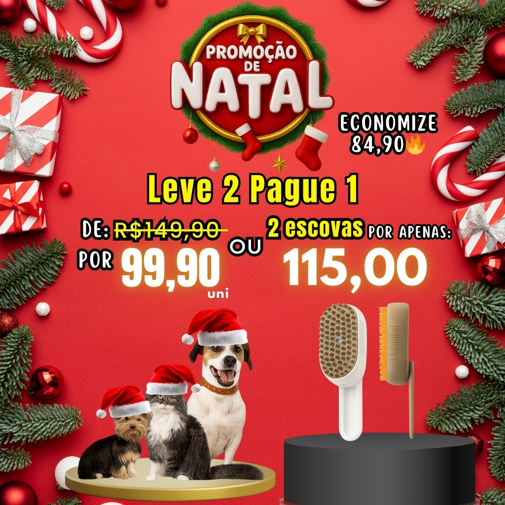 natal Leve 2 Pague 1